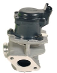 Exhaust Gas Recirculation